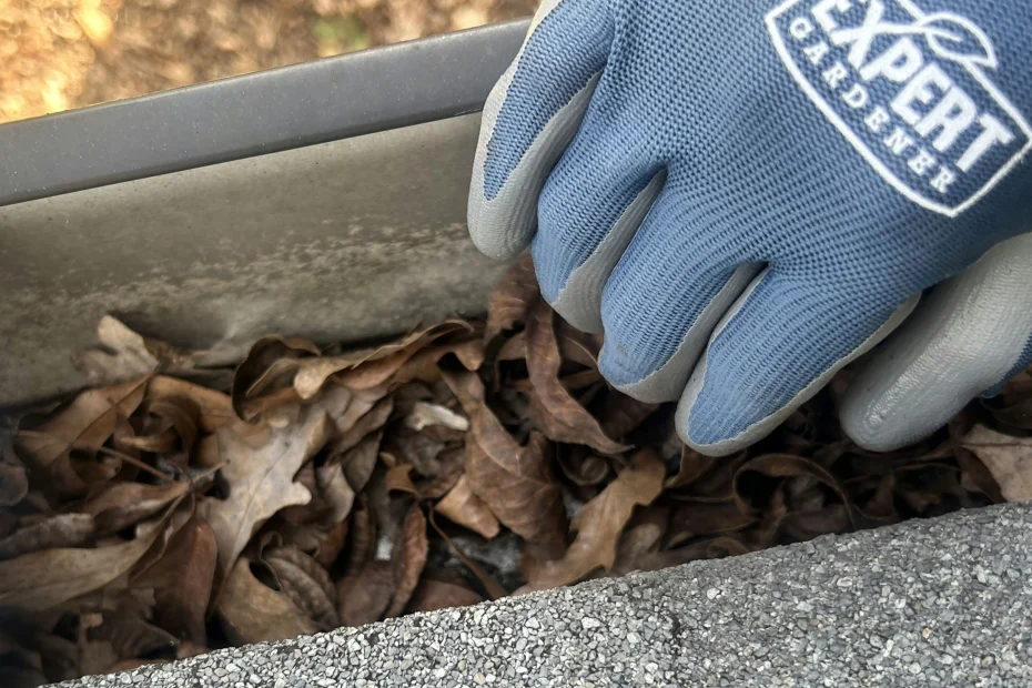 Gutter Cleaning La Vergne, TN