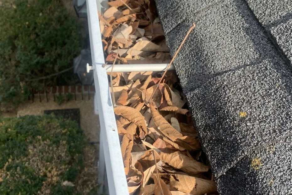 Gutter Cleaning La Vergne, TN